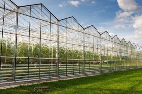 Tấm lấy sáng polycarbonate đặc 2mm 3